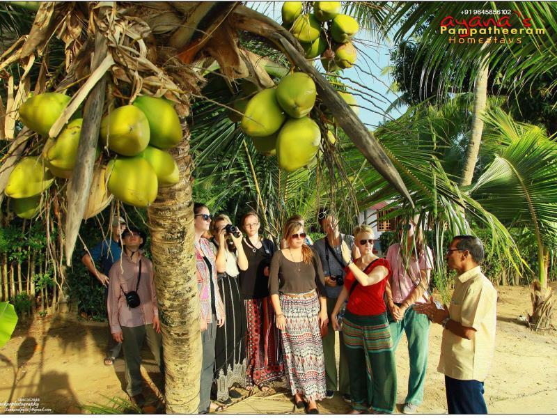 安亚纳家庭旅馆 Alappuzha 外观 照片